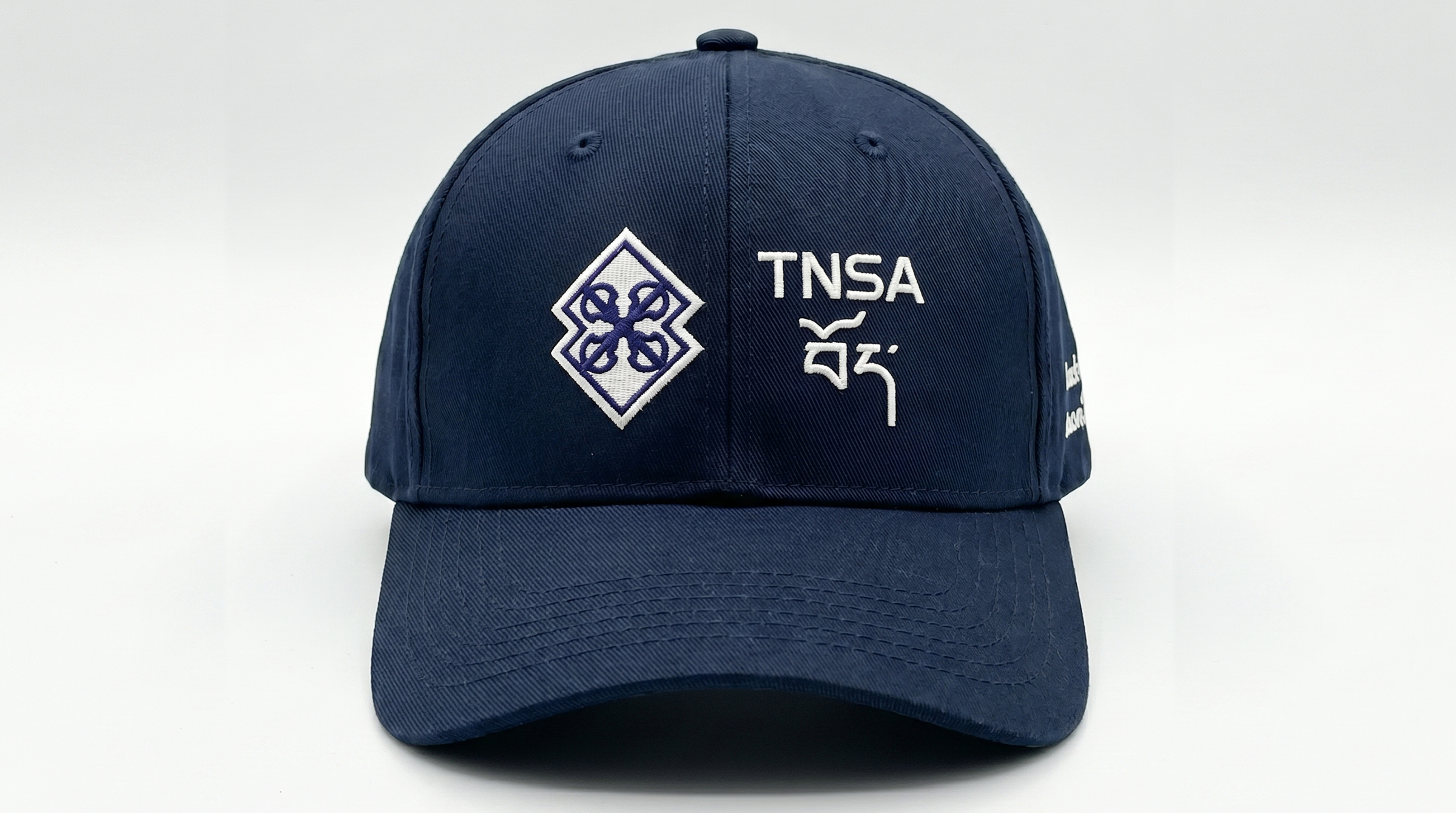 TNSA cap application